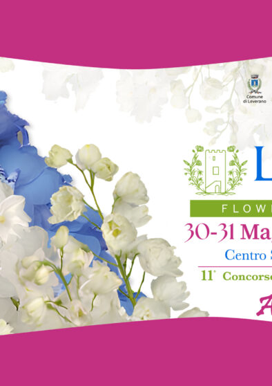 leverano in fiore d'elia piante