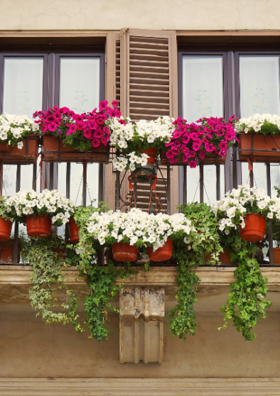 Balcone fiorito